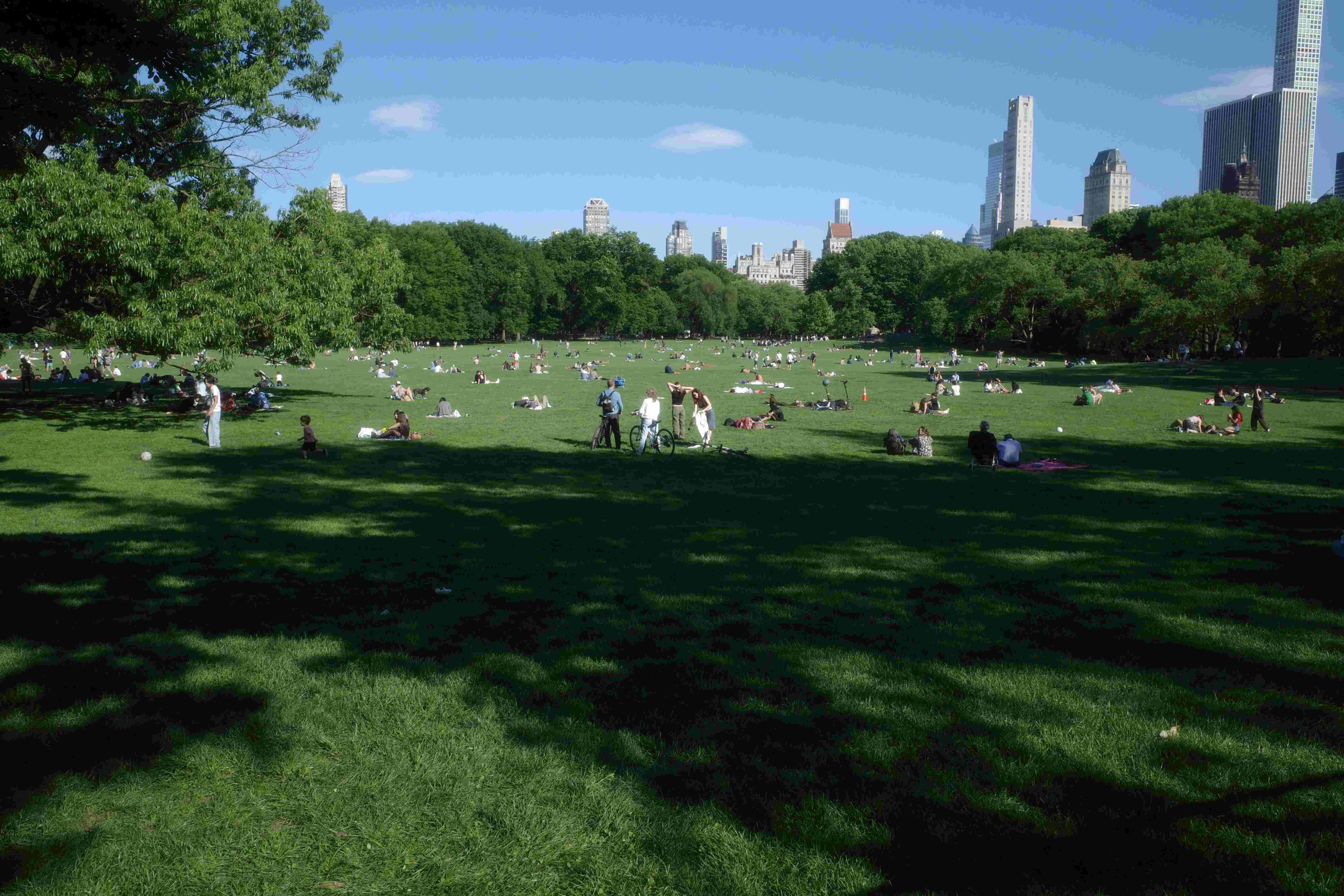 The lawn of Sheep Meadow in Central Park, NYC.